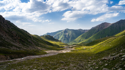beautiful green mountain gorge. summer in the mountains