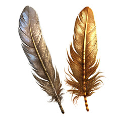 Feather quill. isolated object, transparent background