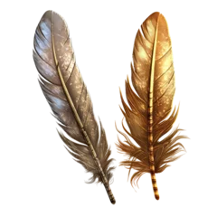 Papier peint Plumes Feather quill. isolated object, transparent background