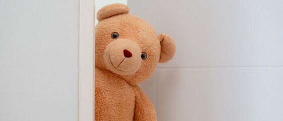 Cute brown Teddy bear toy sneak behind the door and surprise to congratulate the special day...