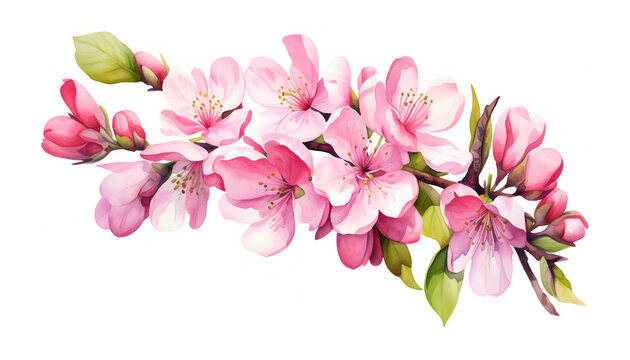 Apple Blossoms Watercolor Floral Elements on White, Ideal for Greeting Cards, Invitations, Textiles, and Printing