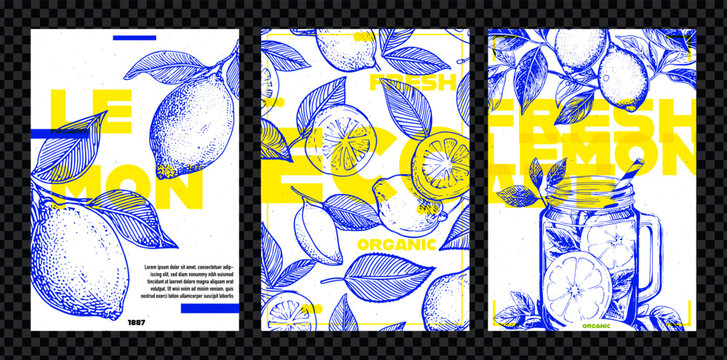 Hand drawn lemon fruits posters set. Blue and yellow vector illustration in engraving style. Design forposter, packaging, invitation, greeting cards.