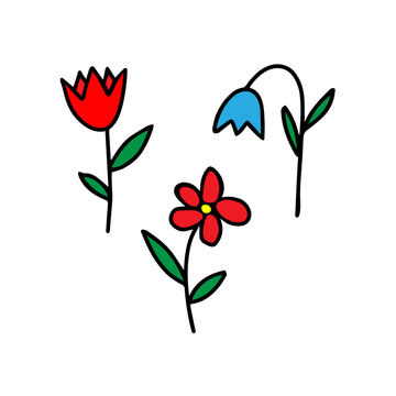 Colored red and blue Vector illustration of a group of three different flowers with leaves isolated on a white background