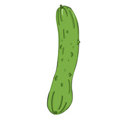 Cucumber 