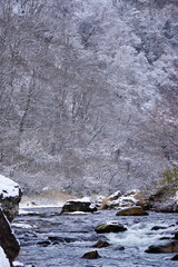 river in the mountains