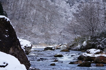 stream in winter