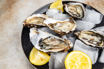 oyster seafood fresh meal oysters food snack on the table copy space food background rustic top view