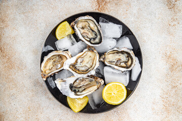 oyster seafood fresh meal oysters food snack on the table copy space food background rustic top view