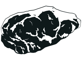 Silhouette Red Meat Sirloin BBQ Cut