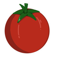 Tomato 