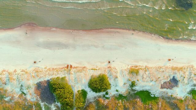 Aerial top-down view of beautiful sandy Curonian Spit beaches, Baltic sea shore