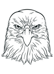  Sketch American Eagle Predator Bird Face