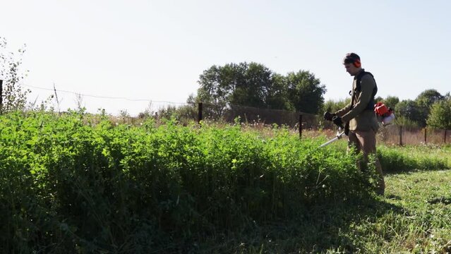 Man mows the green grass in the back yard with a gasoline lawnmower. Trimmer for cutting a garden plot