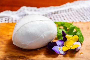 Сheese collection, one big ball on soft white italian mozzarella bufala campania cheese with green rocket salad leaves and viola flowers