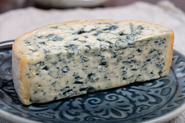Cheese collection, piece of French blue cheese auvergne or fourme d'ambert close up
