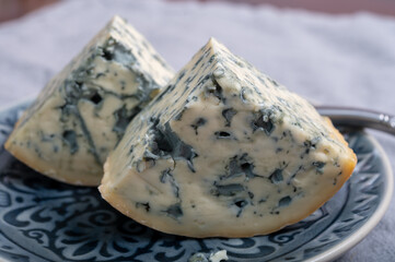 Cheese collection, piece of French blue cheese auvergne or fourme d'ambert close up