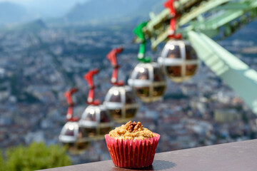 Gateau Grenoblois, French Walnut Coffee Cake, specialty from Grenoble and view on central part of...