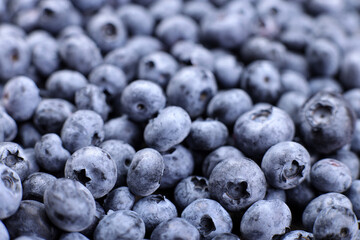 Background of fresh blueberries, selective focus, concept of organic wholesome vegan food,
