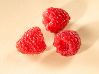 Three raspberries close-up on a pastel background with shadows