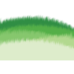 Green grass on the ground isolated on transparent background 