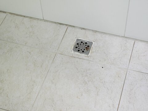 Ralo Images – Browse 34 Stock Photos, Vectors, and Video | Adobe Stock