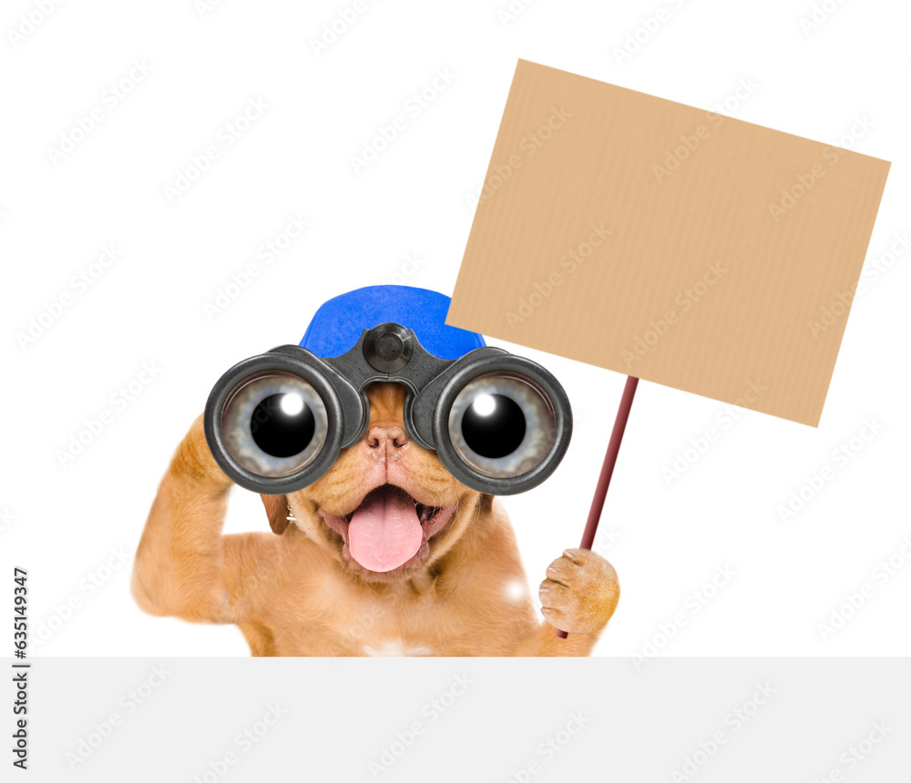 Poster happy mastiff puppy wearing blue cap looks through binoculars and shows empty placard above empty wh