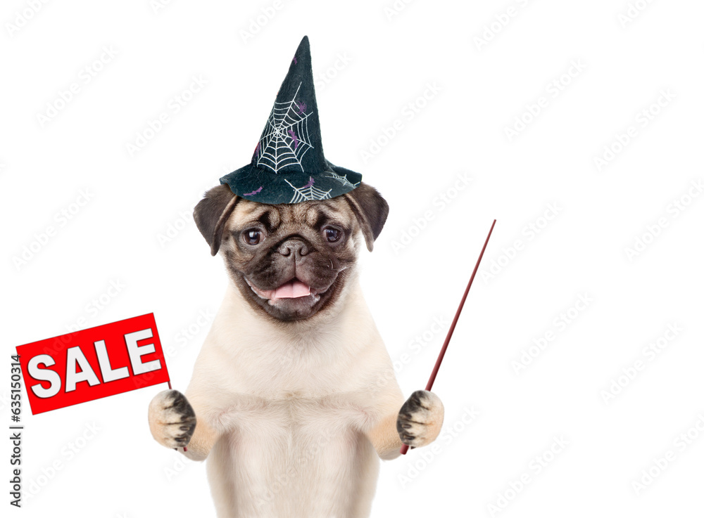 Poster pug puppy wearing hat for halloween shows signboard with labeled 