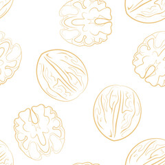 Walnuts seamless pattern. Line art vector illustration. Nuts background.