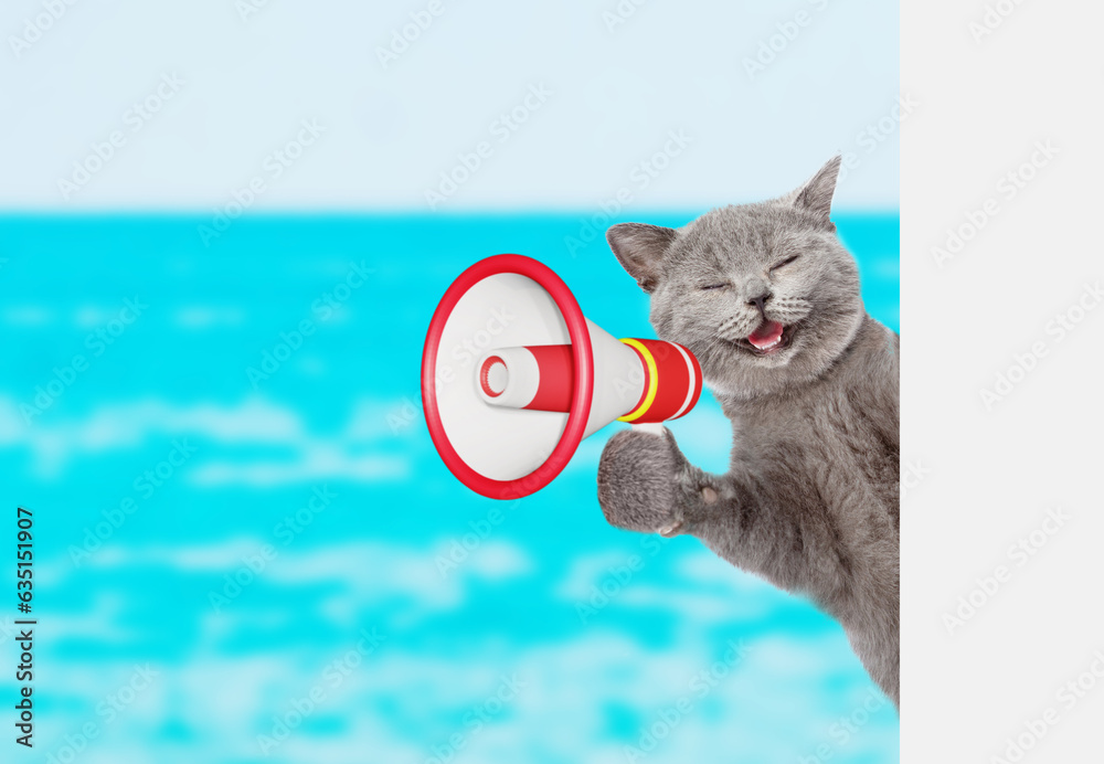 Poster happy cat screams into megaphone and looks from behind empty white banner at summer beach