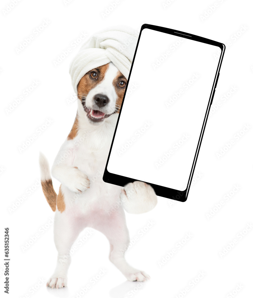 Aufkleber funny jack russell terrier puppy with towel on it head holds big smartphone with white blank screen 