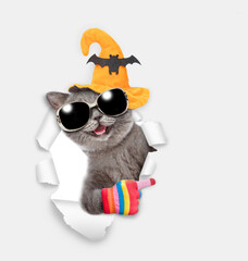 Happy cat wearing sunglasses and hat for halloween looks through a hole in white paper and points away on empty space