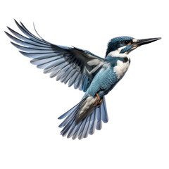 Obraz premium a belted kingfisher (Megaceryie alcyon) in flight, side view in a Nature-themed, photorealistic illustration in a PNG, cutout, and isolated. Generative AI