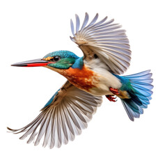 a Malachite Kingfisher (Corythornis cristatus) in flight, side view in a Nature-themed, photorealistic illustration in a PNG, cutout, and isolated. generative ai