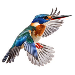 Fototapeta premium a Malachite Kingfisher (Corythornis cristatus) in flight, side view in a Nature-themed, photorealistic illustration in a PNG, cutout, and isolated. generative ai