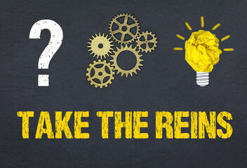 Obraz premium Take the reins 
