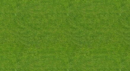 Green grass texture background, Top view of grass garden ideal concept used for making green flooring, lawn for training football pitch, Grass Golf Courses green lawn pattern textured background. 
