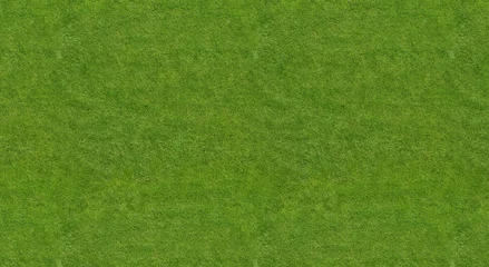 Fotobehang Green grass texture background, Top view of grass garden ideal concept used for making green flooring, lawn for training football pitch, Grass Golf Courses green lawn pattern textured background.   © adobedesigner