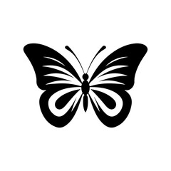 butterfly vector 