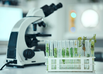 Plant, test tube and laboratory science study of biotechnology, pharmaceutical product or natural...