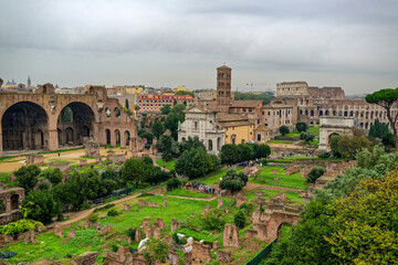 Fototapeta na wymiar Journée pluvieuse dans le Forum Romain 