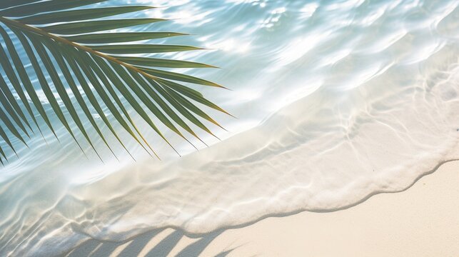 palm leaf shadow on abstract white sand beach background, sun lights on water surface, beautiful abstract background concept banner for summer vacation at the beach. generative ai