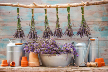  Freshly cut lavender on a garden table