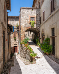 Fototapeta na wymiar The beautiful village of Cesi, in the Province of Terni, Umbria, central Italy.