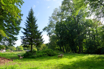 The Orvanne valley in the French Gatinais Regional Nature Park