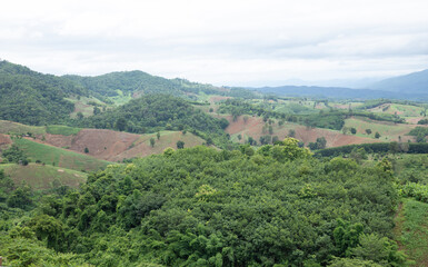 Fototapeta na wymiar Aerial view landscape of plantation area and green trees on complicated hill in Nan province, northern of Thailand.