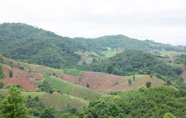 Aerial view landscape of plantation area and green trees on complicated hill  in Nan province, northern of Thailand.