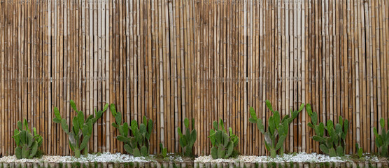 Bamboo wall decorated with green cactus