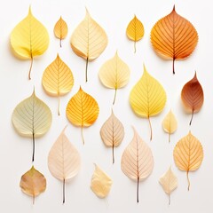 yellow and orange Fall leaves separated in a season change-themed, photorealistic illustration in a transparent PNG, cutout, and isolated. generative ai