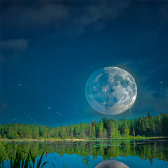 Full moon over forest background