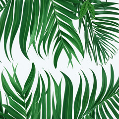 Green Tropical Exotic Large Leaf Background